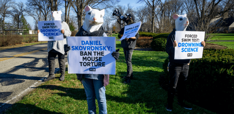 Eli Lilly Chief Scientific Officer Faces Home Protest Over Forced Swim Test