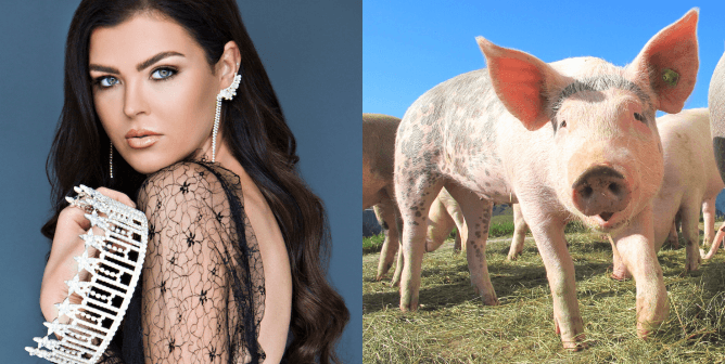 Miss Montana and pig