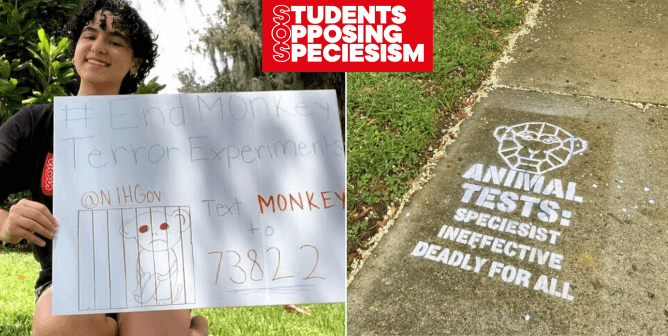 13 Ways for Students to Take Action for Animals During the Pandemic