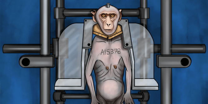 who is dorothy WaNPRC experiments on monkeys