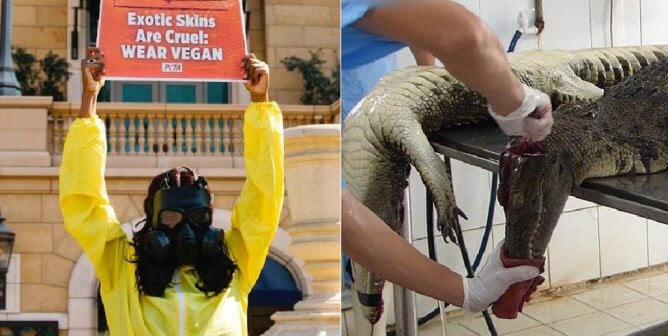 PETA Campaign Against the Sale of Exotic Skins at LMVH