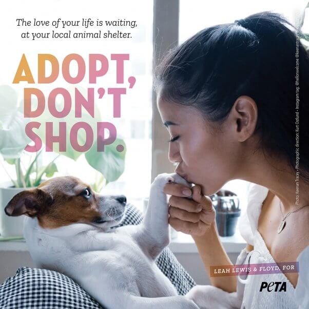 Leah Lewis and Her Dog Floyd in an Ad for PETA