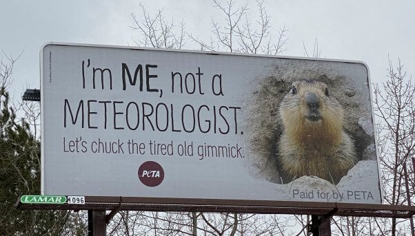 PETA Punxsutawney Groundhog Meteorologist billboard