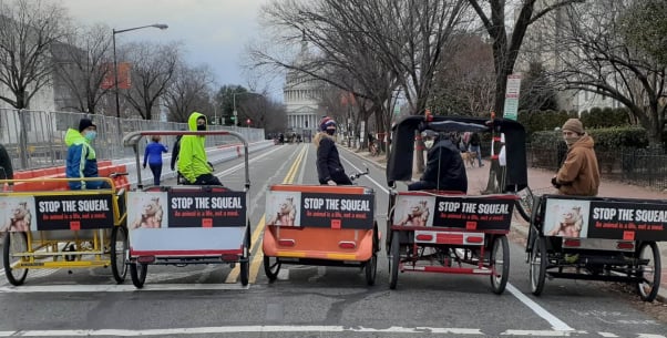 biden inauguration PETA Stop the Squeal bike ads - Washington DC