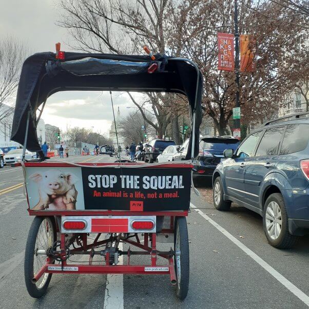 Stop the Squeal peta dc ad blitz 2021