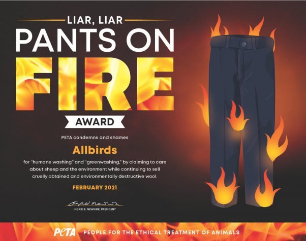 Liar Liar Pants on Fire Award for Allbirds