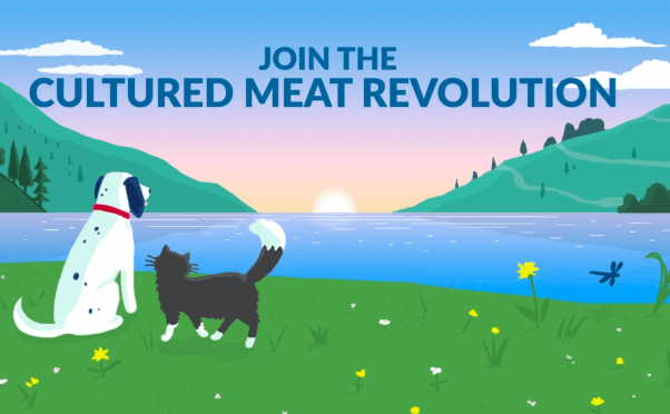 Cultured meat revolution