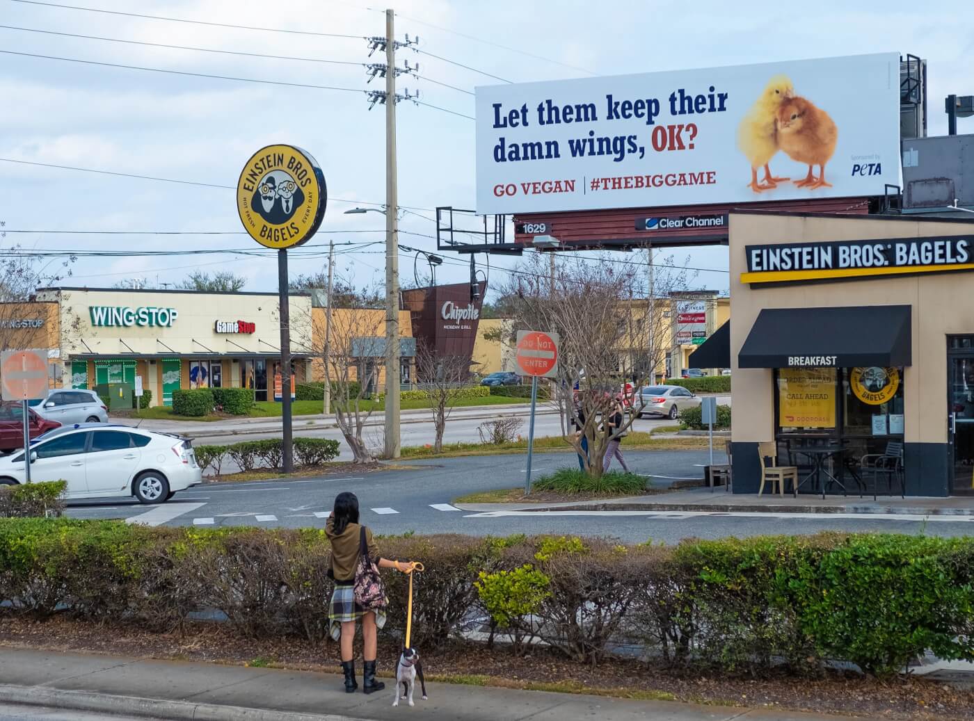 Billboard that says Let Them Keep Their Damn Wings Ok