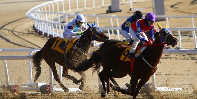 horse race dirt track