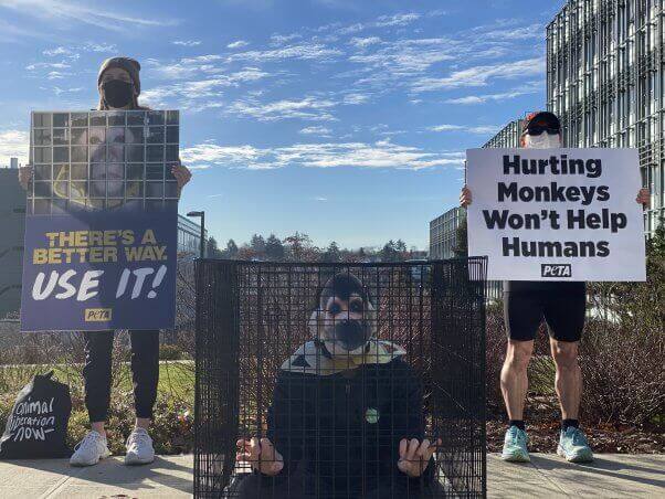 PETA Protest for Primates at University of Washington