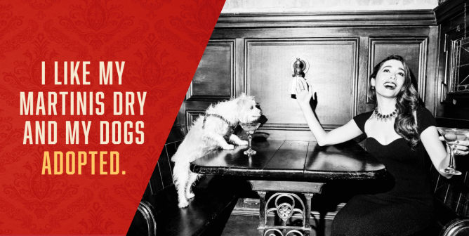 Adopt an animal celeb ad