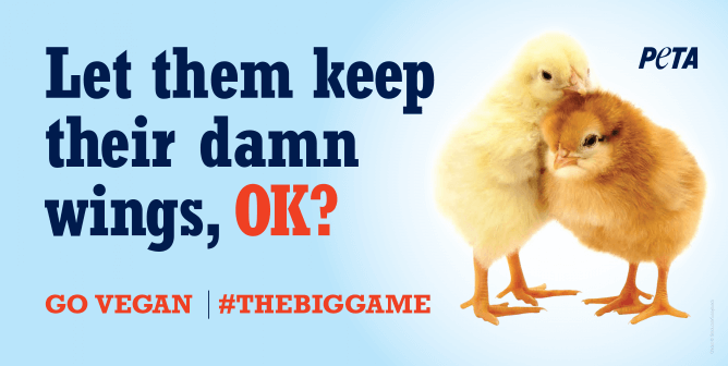 Two chicks on a superbowl ad