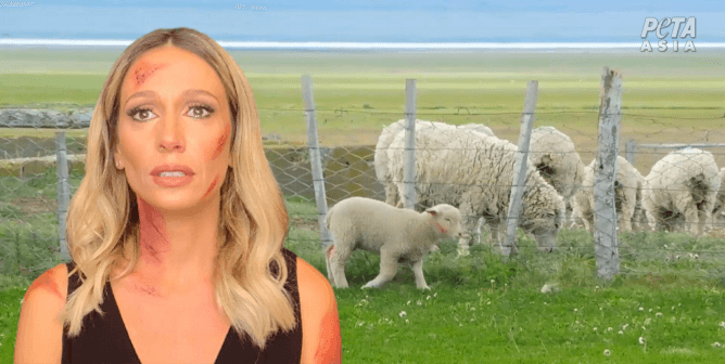 Brazilian Star Luisa Mell Urges Fans to Boycott Forever 21 and Ditch Wool