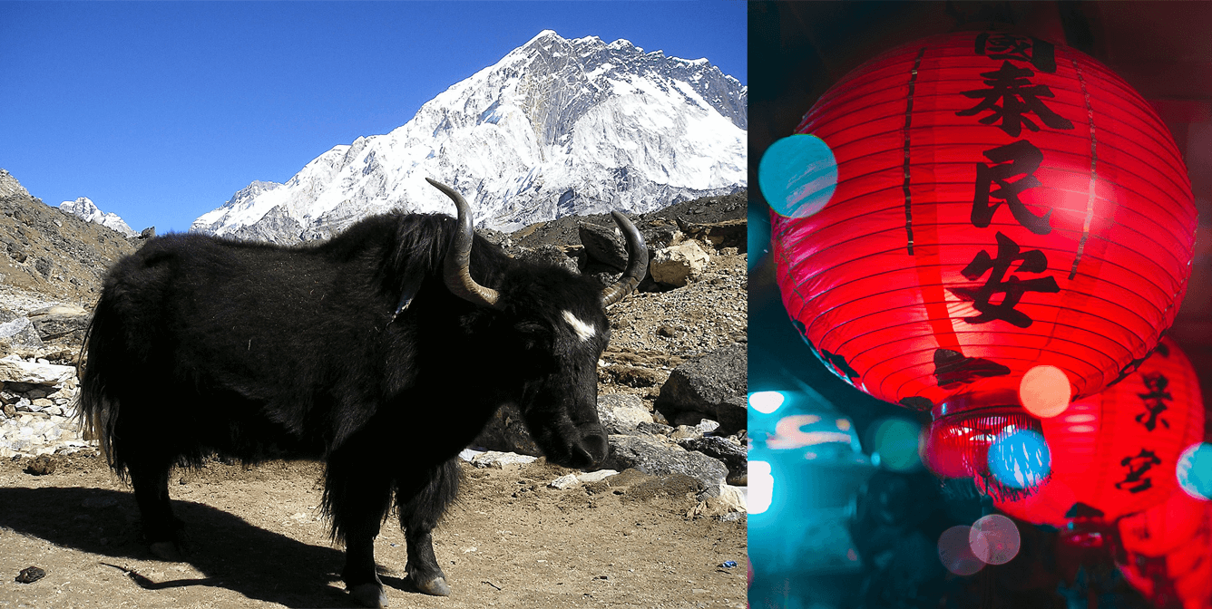 Happy Lunar New Year Here S Your Horoscope For 21 Peta
