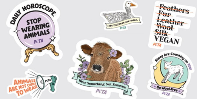 Students: Your Art Can Help Us ‘Stick It’ to Urban Outfitters!