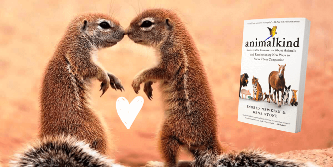 ‘Animalkind’ Shows How Valentine’s Day Is for All Animals