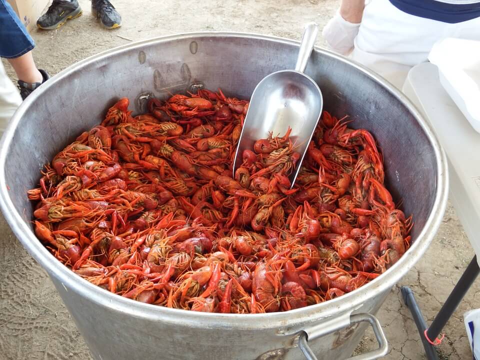 3 Reasons to Keep Crayfish out of Your Creole Dishes PETA
