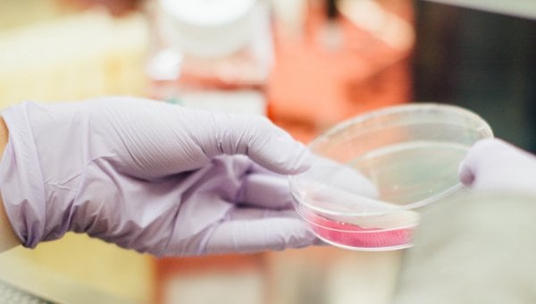 scientist holding a dish in laboratory