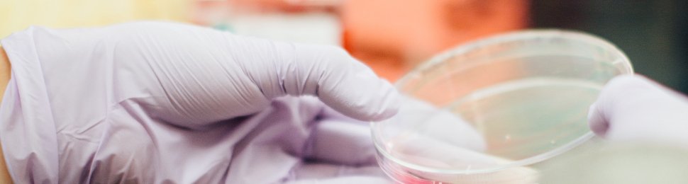 scientist holding a dish in laboratory