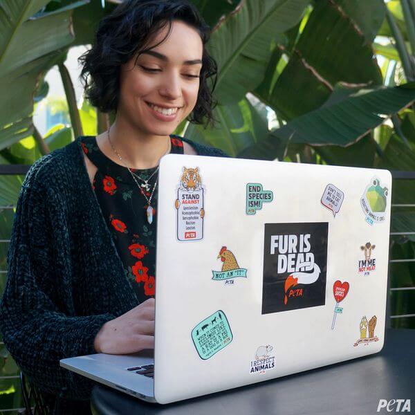 Stickers on Laptop