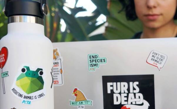 Stickers on laptop and waterbottle