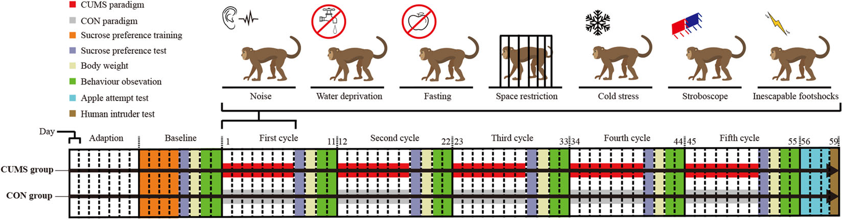 wake forest cruel monkey experiments