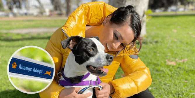 PETA and Save the Duck Gift GRAMMY® Stars Feather-Free Vegan Coats