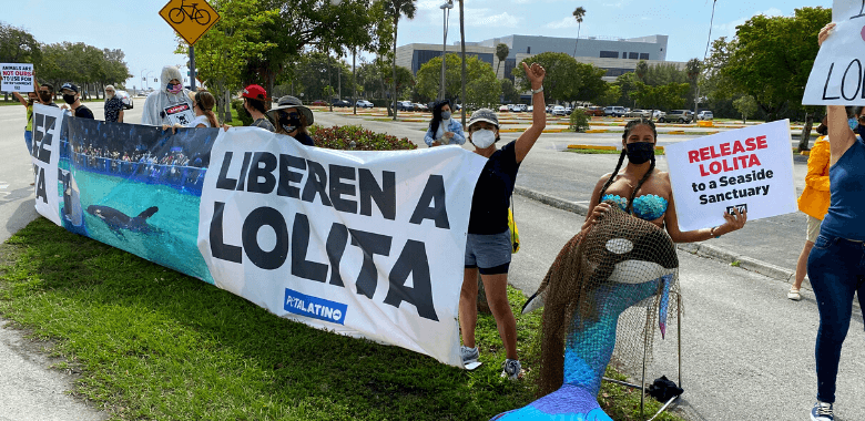 Protesters Call For Imprisoned Orca’s Release