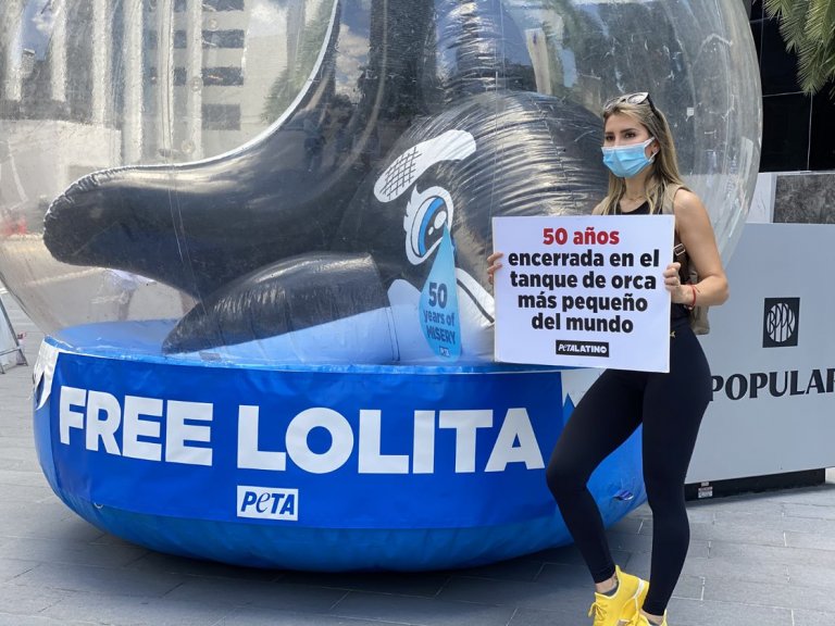 3 Latina Stars Who've Spoken Out for Lolita | PETA Latino