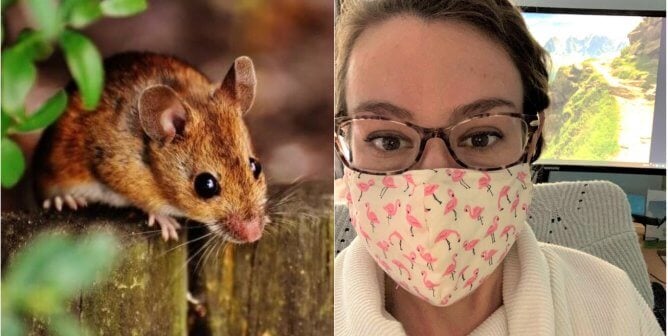 Right Now: PETA Scientists Virtually Attend World’s Largest Toxicology Conference
