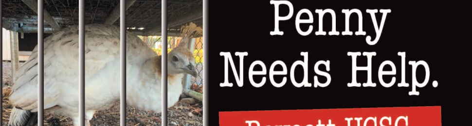 Penny Needs Help. Boycott UCSC