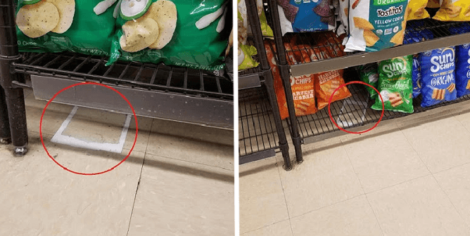 Cruel Traps Reportedly Threaten Rodents at NYC Grocery Store!