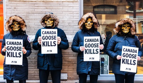 PETA Rallies Shoppers Against Fur-and-Feather Coats