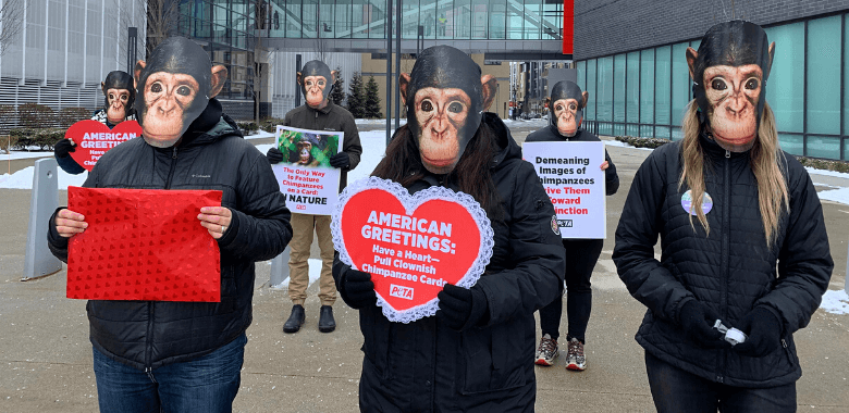 ‘Chimpanzees’ Deliver a Valentine Plea to American Greetings