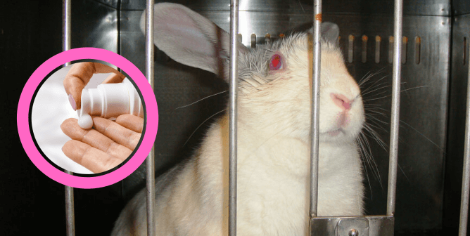 Still Using Animals for Tests: EU’s Bans on Cosmetics Testing Need a Makeover
