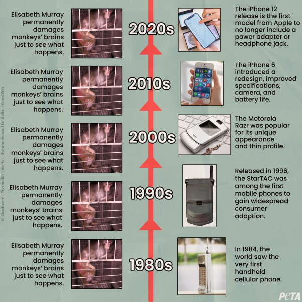 Timeline of Elisabeth Murray