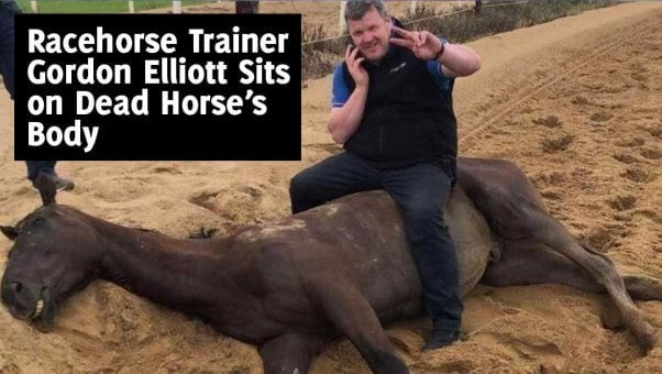 Trainer Gordon Elliott Sits on a Dead Horse’s Body