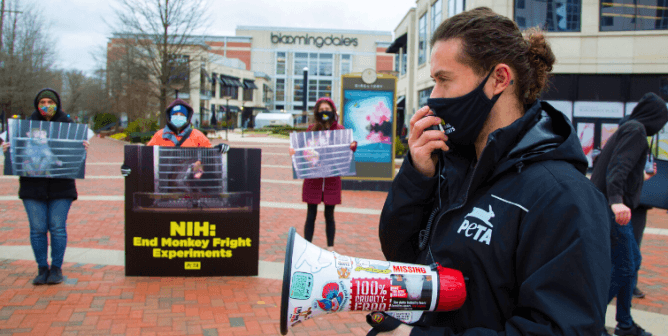 PETA Screens Footage of Taxpayer-Funded NIH ‘Monkey Fright’ Experiments