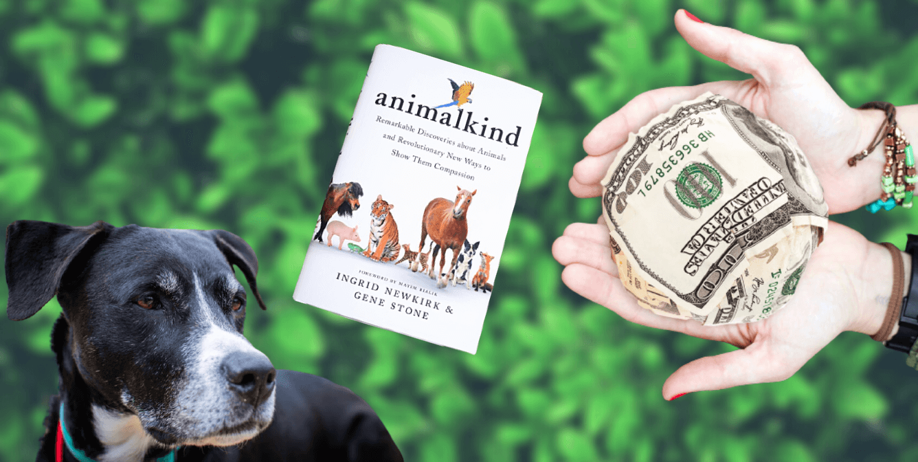 14 'Pay It Forward' Ideas for Your $1,400 Stimulus Check | PETA 14 'Pay It Forward' Ideas for Your $1,400 Stimulus Check | PETA