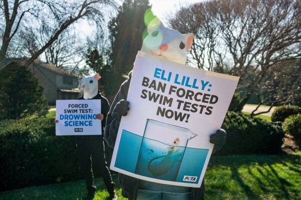 protest exposing eli lilly dark past