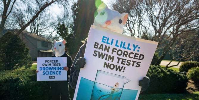 protest exposing eli lilly dark past