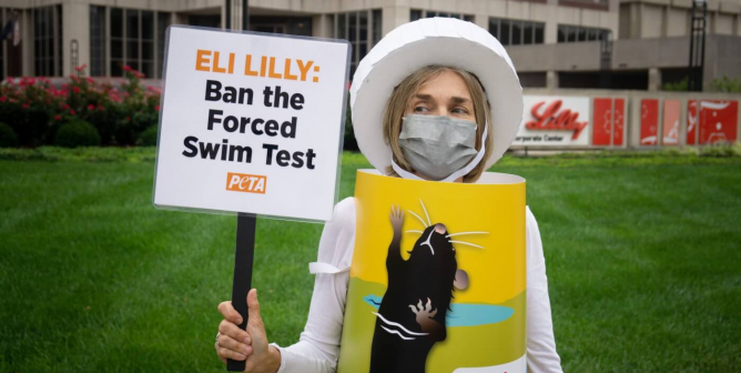 Big Pharma Corp. Eli Lilly Refuses to Ban the Forced Swim Test