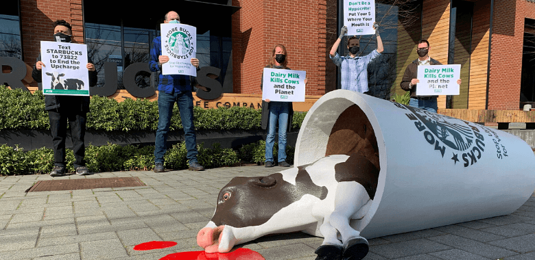 PETA’s ‘Dead Calf’ Protests Starbucks’ Vegan Milk Upcharge