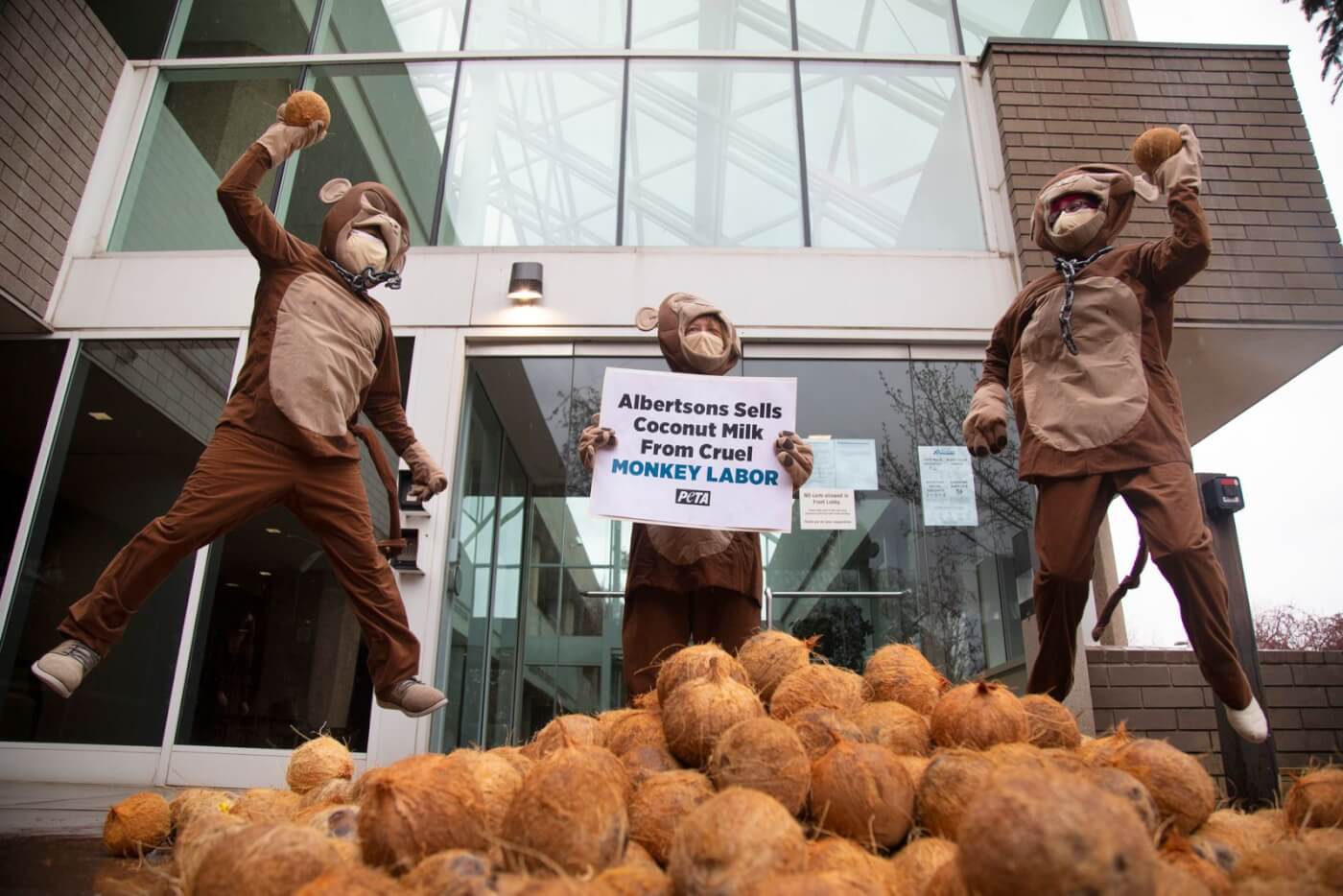 Monkeys protesting Albertsons sale of coconut milk using monkey labor