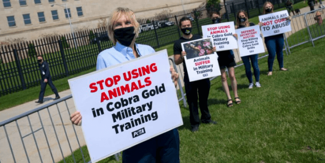 PETA to U.S. Military: Ban Using Live Animals in Survival Training