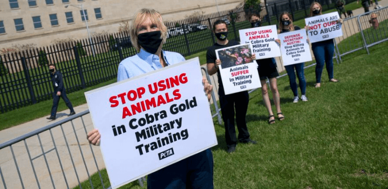 PETA Protests Defense Secretary Over Deranged Military Bloodlust Drills
