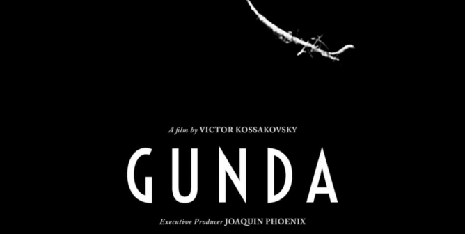 Gunda