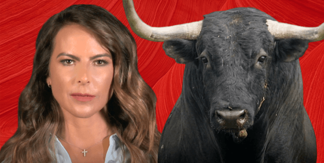 Kate and bull feature image