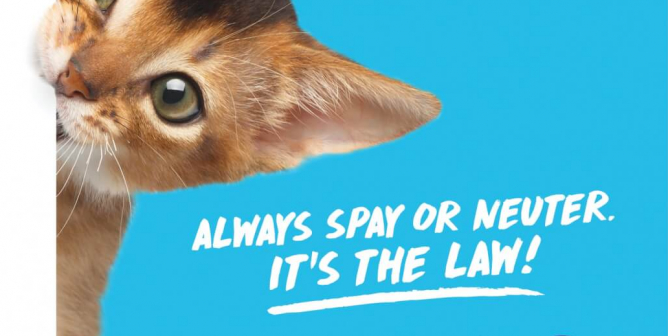 Take A Bite Out Of Animal Overpopulation (Print)