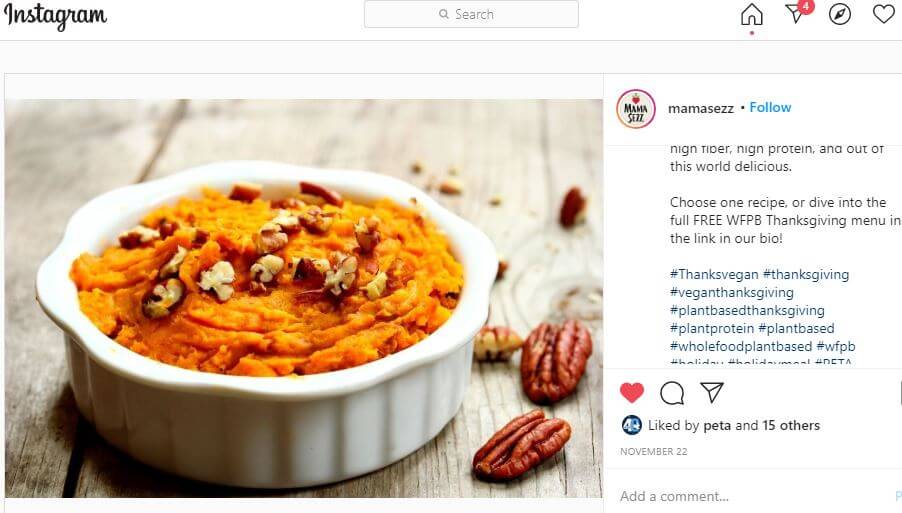 MamaSezz Celebrates ThanksVegan